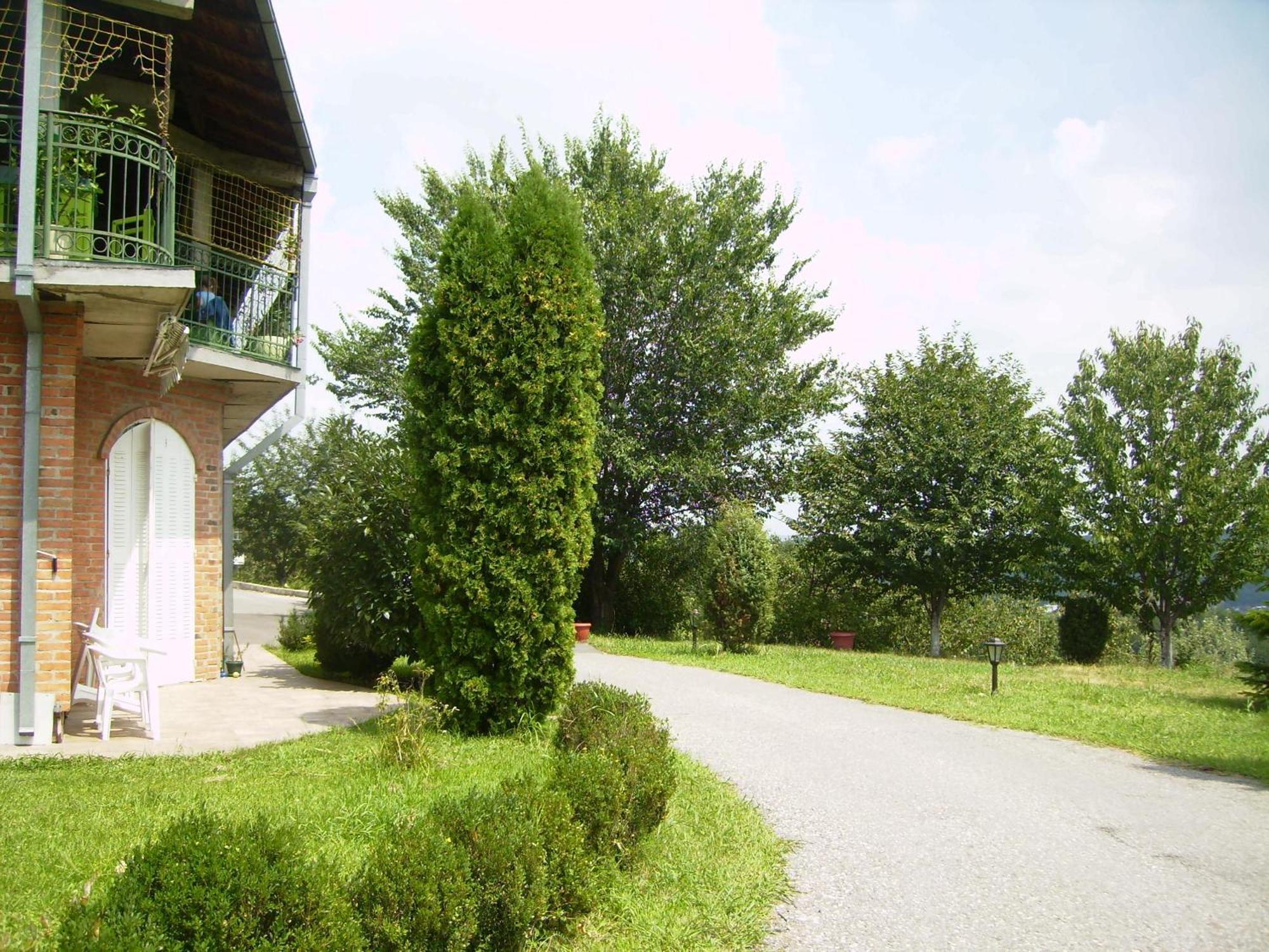 Villa Nevenka Rooms Belgrad Dış mekan fotoğraf